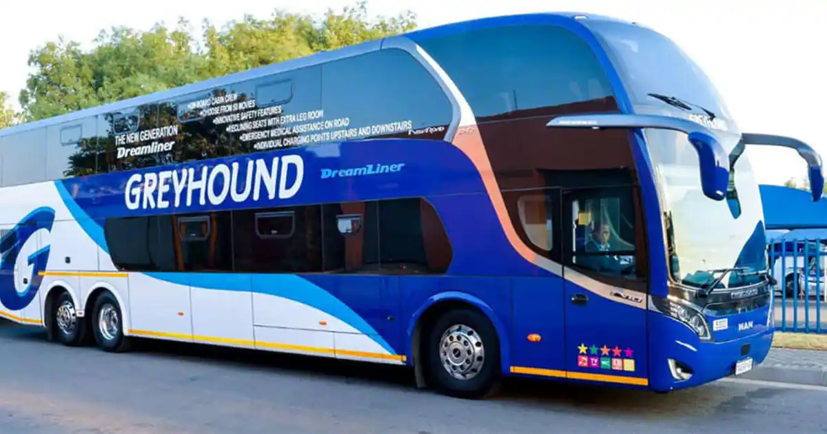 Why Are Greyhound Buses Still Running? 10 Reasons