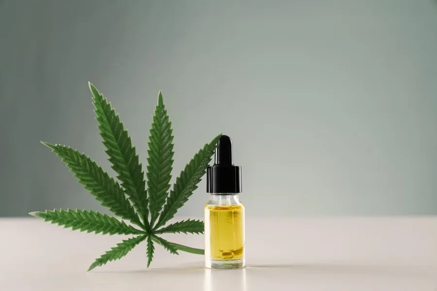 Customizing CBD Dosage for Different Pet Sizes and Breeds