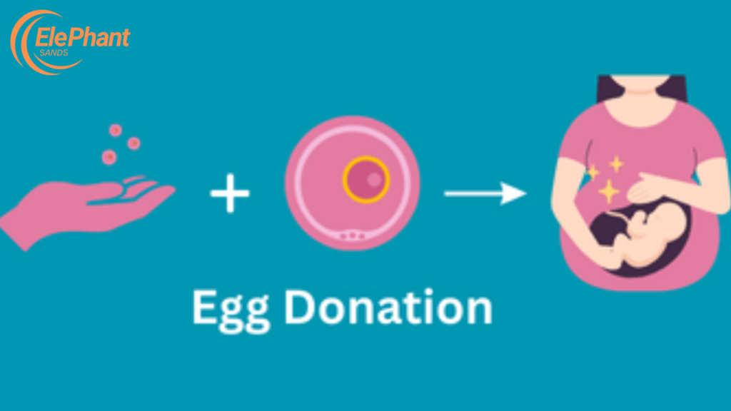 Egg Donation