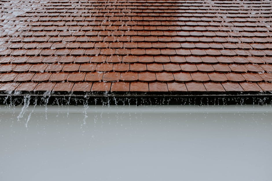 How to take care of your roof?
