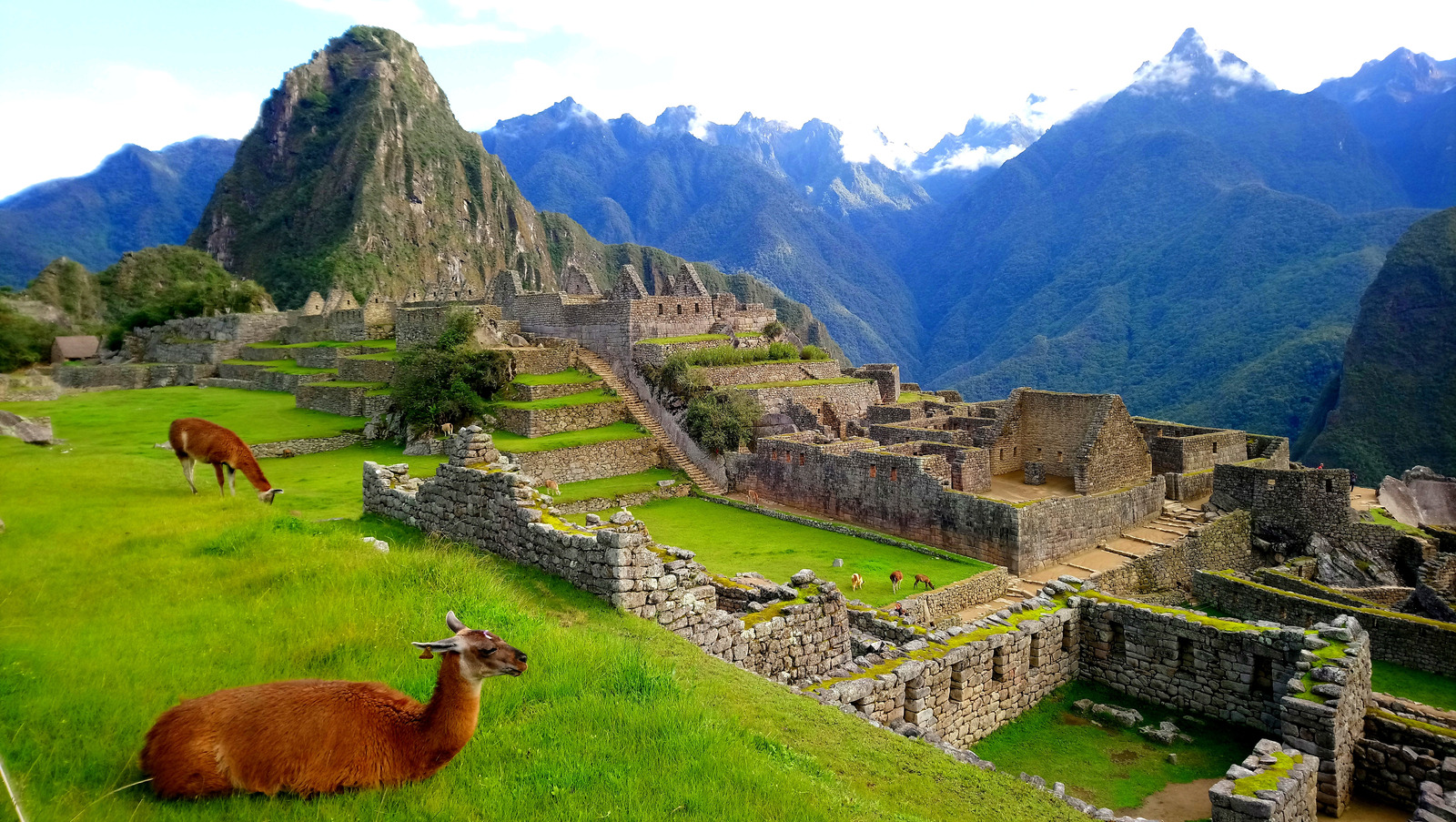 10 Interesting Facts about Machu Picchu That You Need to Know
