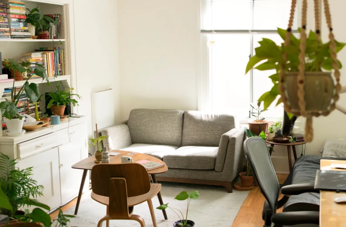 Light-filled living room with modern furniture and plants.