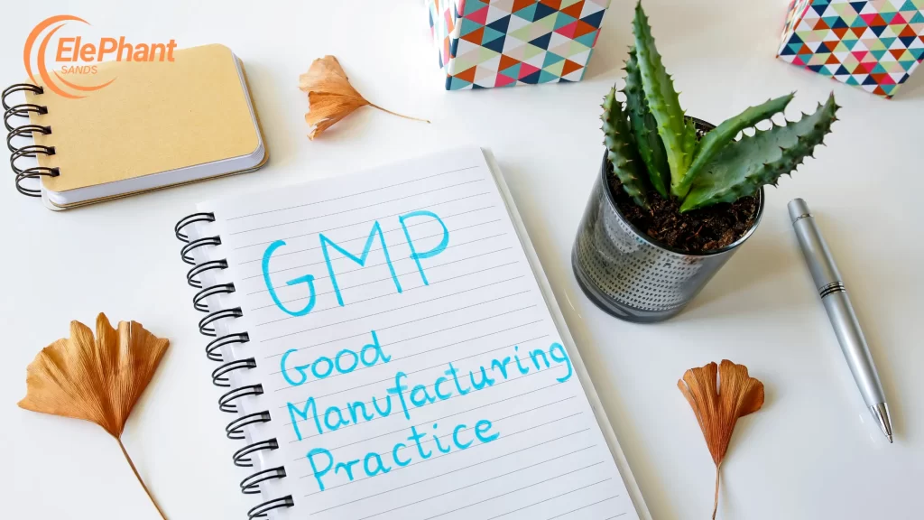 GMP mRNA Manufacturing 