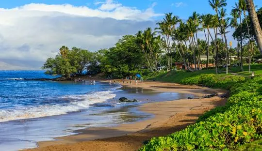 Kihei beach with lush greenery and clear waters.
