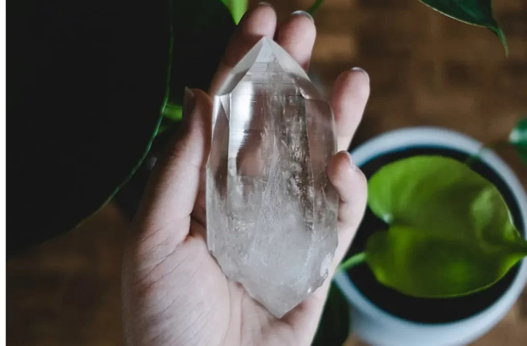 Hand holding crystal award near green leaves.