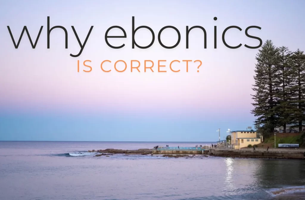 Why Ebonics is correct text over a beach sunset.