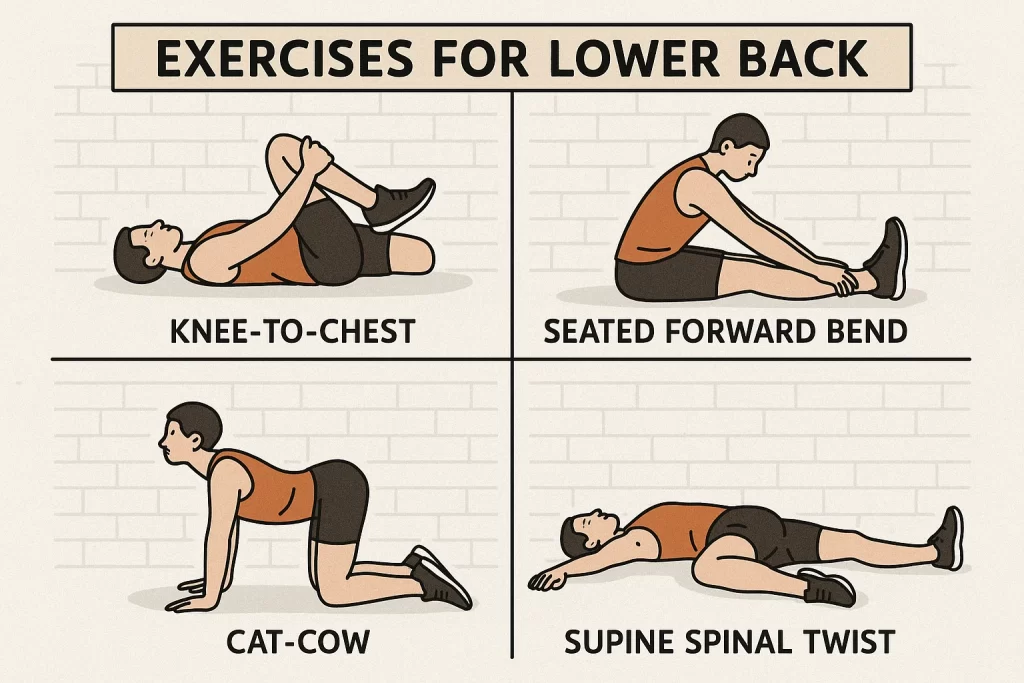 exercises for lower back pain